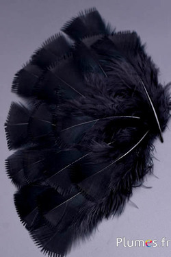Dinde effilée - 6-8 cm - noir